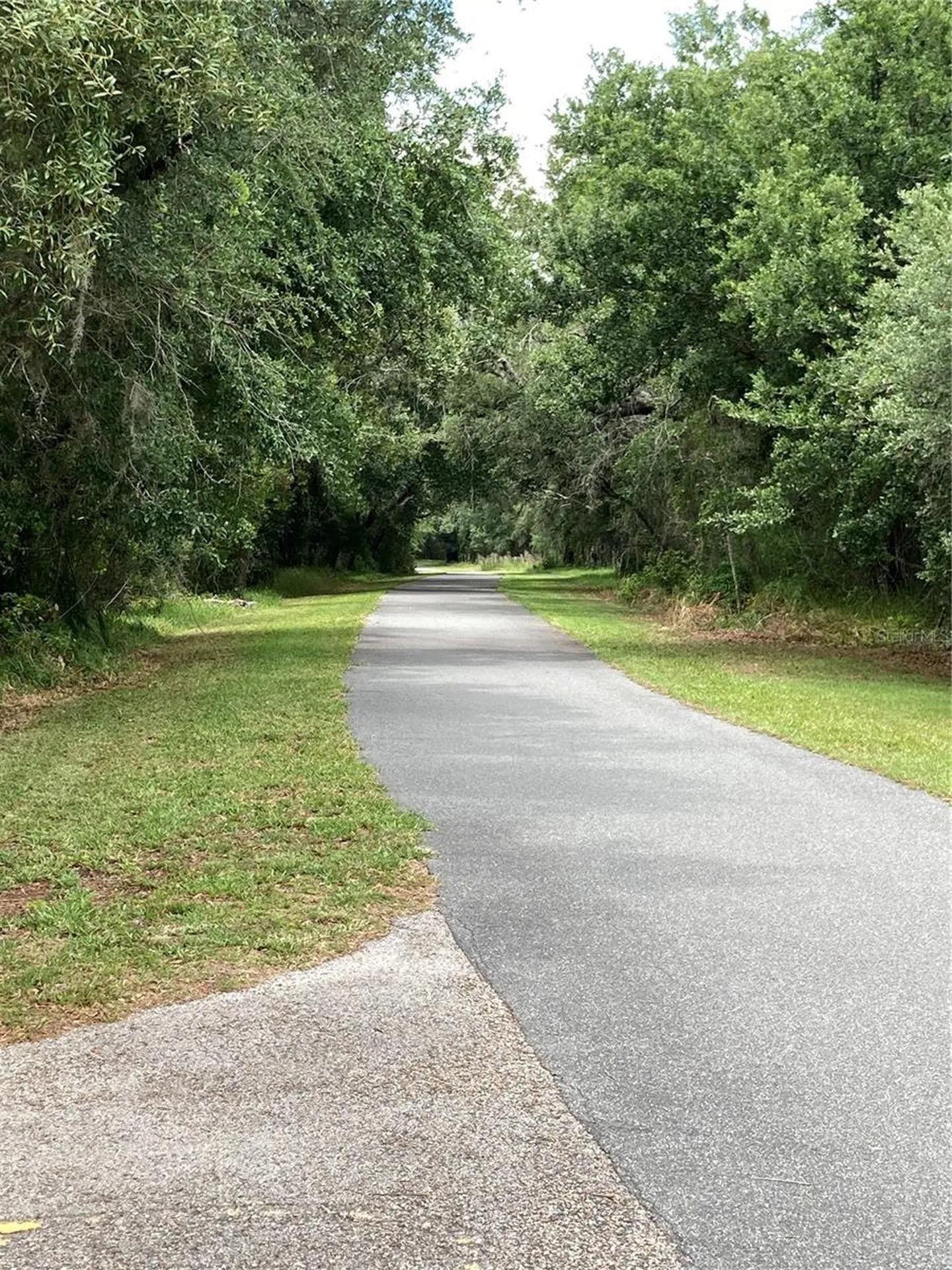 15848 Leatherleaf Lane Land O Lakes FL 34638