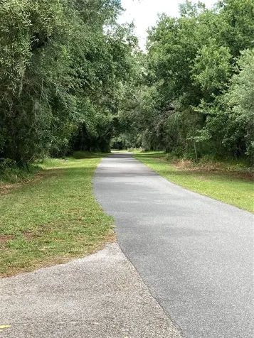 15848 Leatherleaf Lane Land O Lakes FL 34638