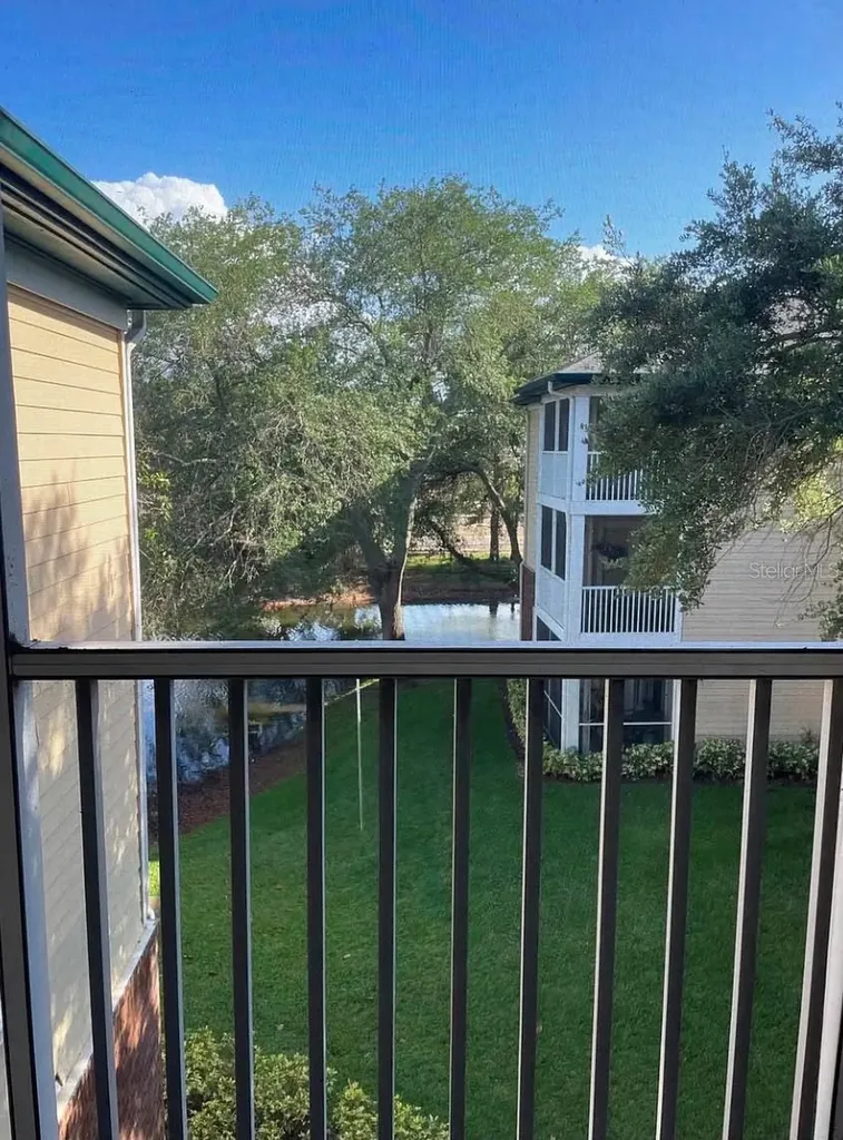 10024 Strafford Oak Court Tampa FL 33624