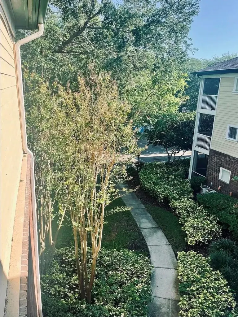 10024 Strafford Oak Court Tampa FL 33624