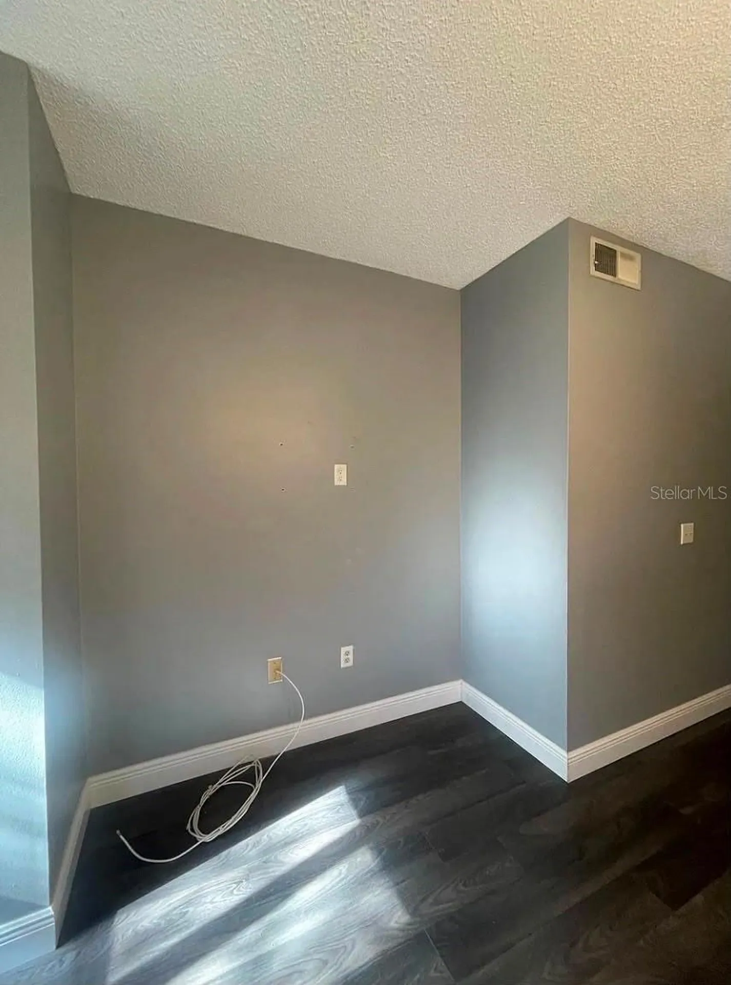 10024 Strafford Oak Court Tampa FL 33624
