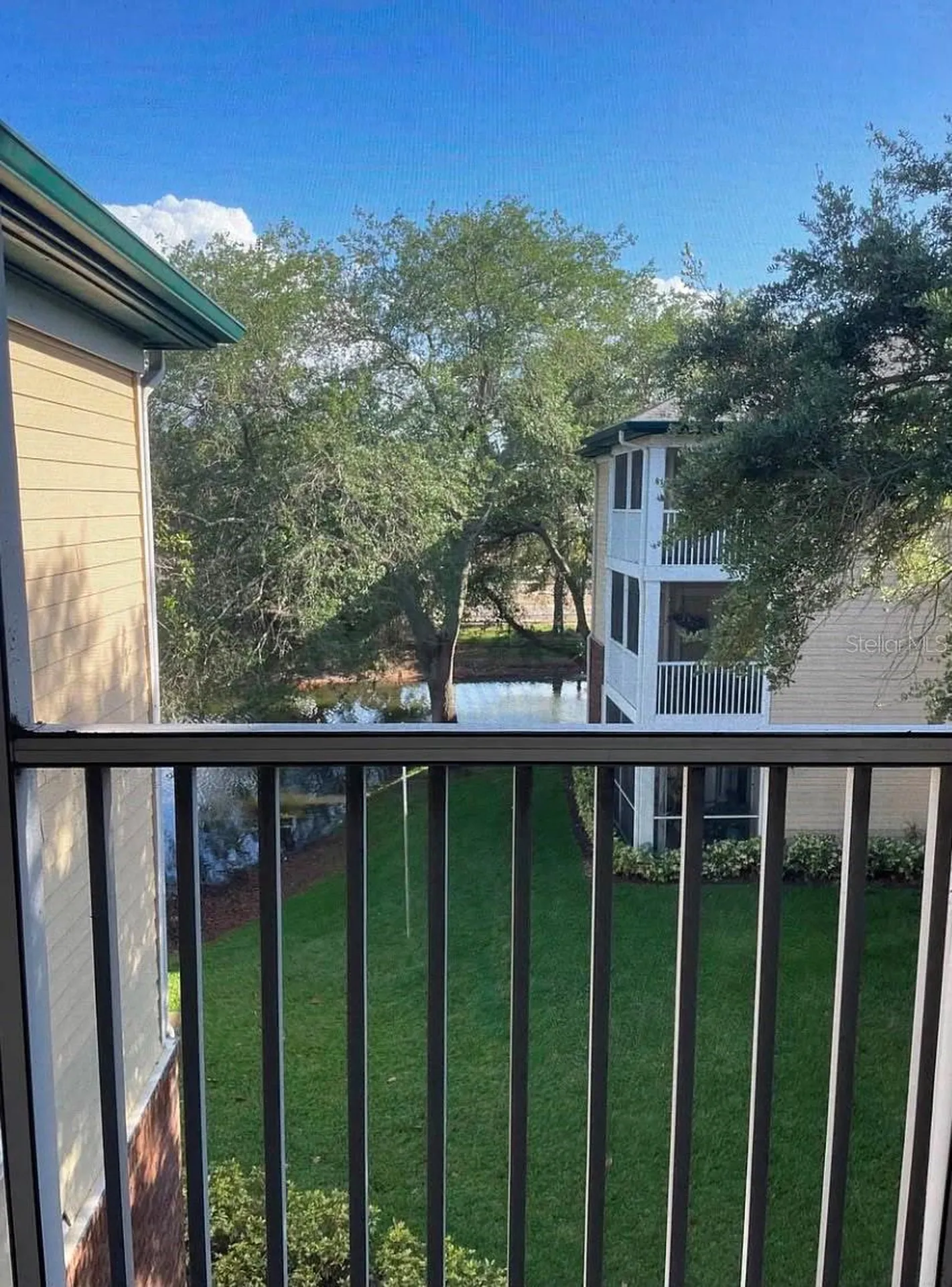 10024 Strafford Oak Court Tampa FL 33624