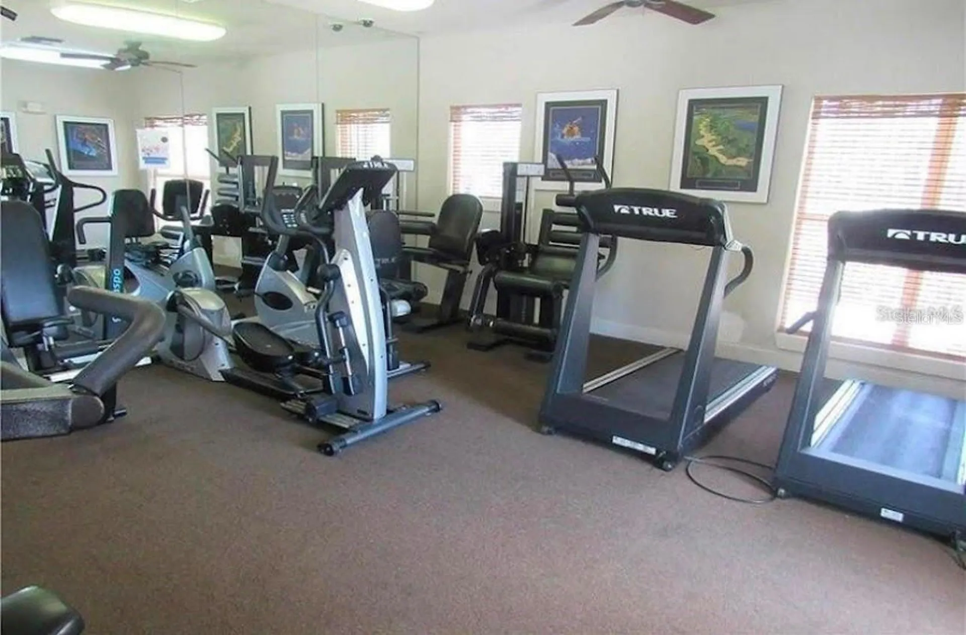 10024 Strafford Oak Court Tampa FL 33624