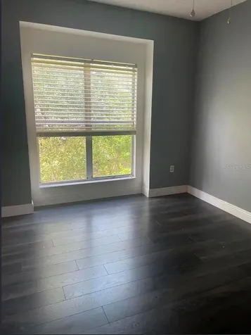 10024 Strafford Oak Court Tampa FL 33624