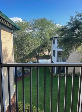 10024 Strafford Oak Court Tampa FL 33624