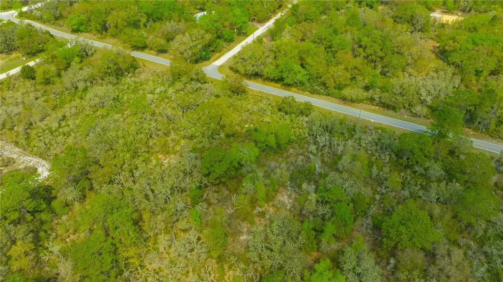 35166 Cornerstone Drive Webster FL 33597