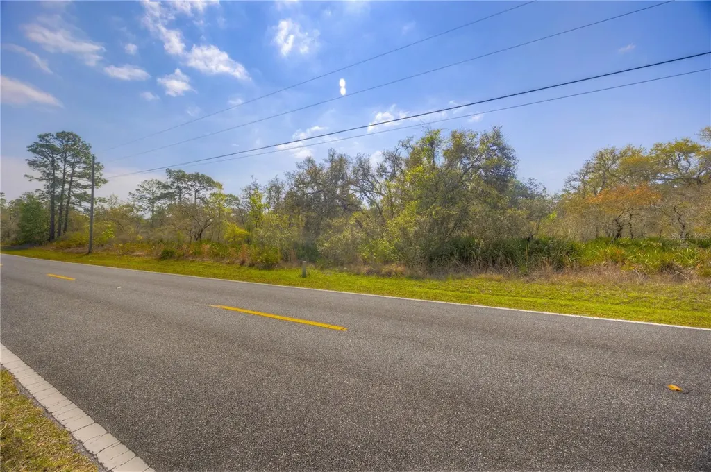 35166 Cornerstone Drive Webster FL 33597