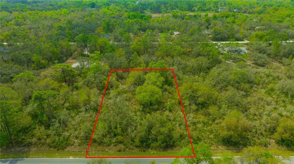 35166 Cornerstone Drive Webster FL 33597