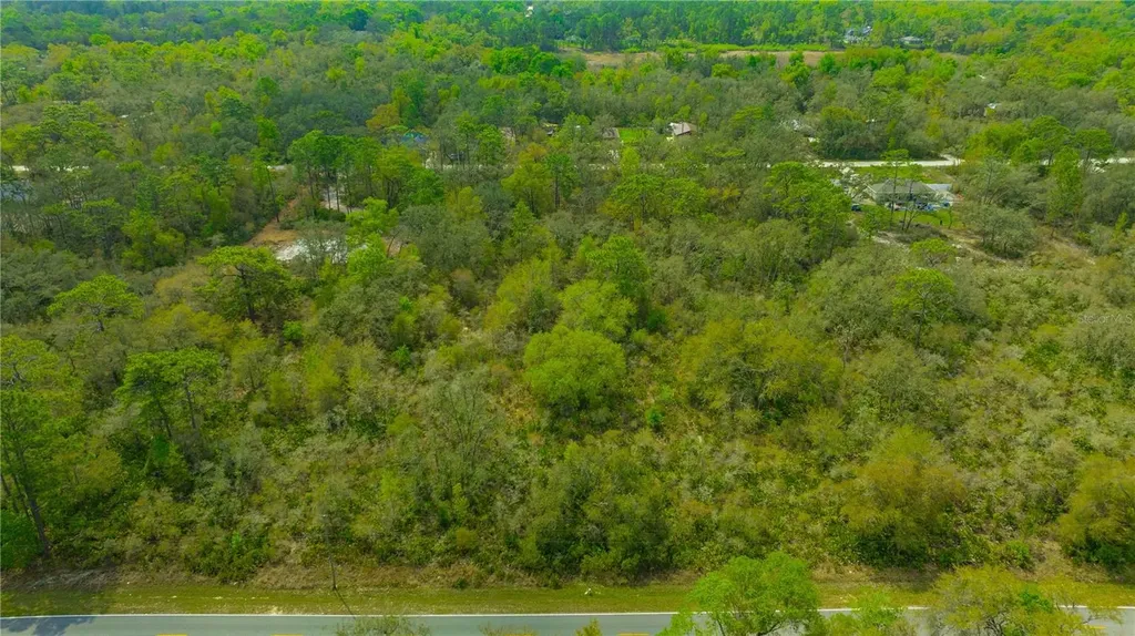 35166 Cornerstone Drive Webster FL 33597