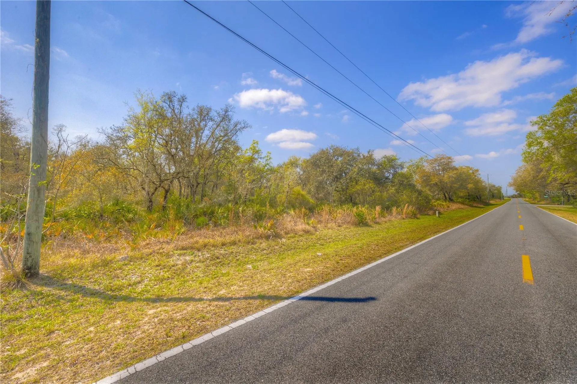 35166 Cornerstone Drive Webster FL 33597