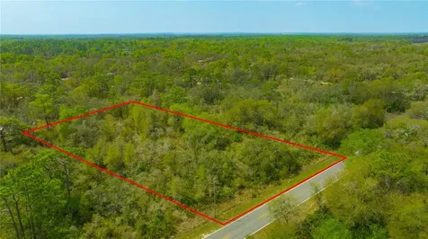 35166 Cornerstone Drive Webster FL 33597