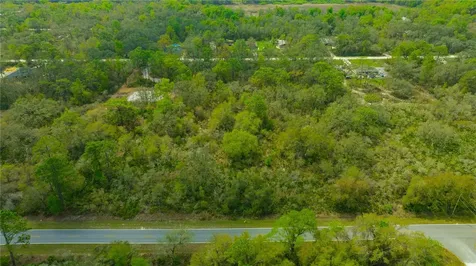 35166 Cornerstone Drive Webster FL 33597