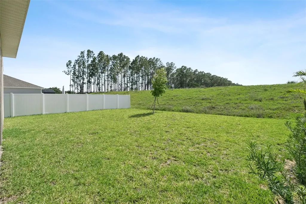 15652 Gentle Rain Drive Winter Garden FL 34787