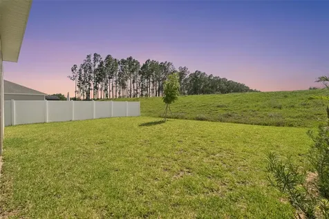 15652 Gentle Rain Drive Winter Garden FL 34787