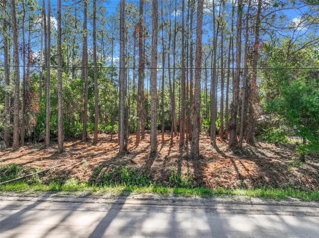 2679 Forest Park Street Bunnell FL 32110