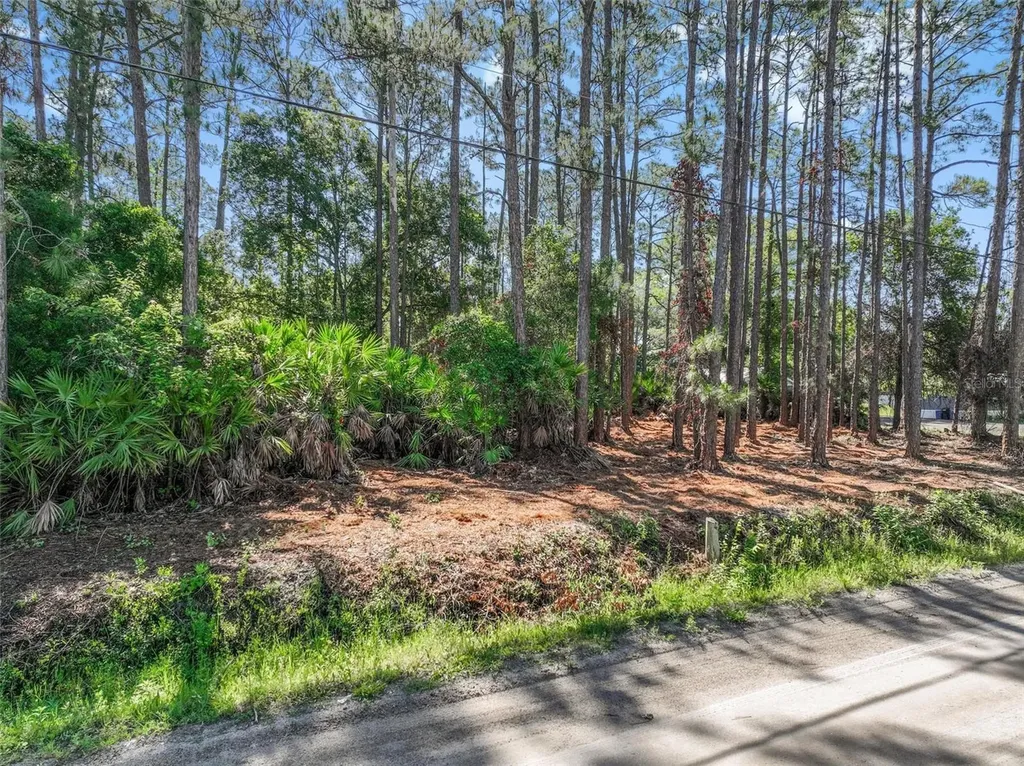 2679 Forest Park Street Bunnell FL 32110