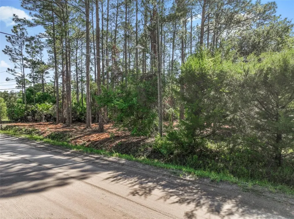 2679 Forest Park Street Bunnell FL 32110