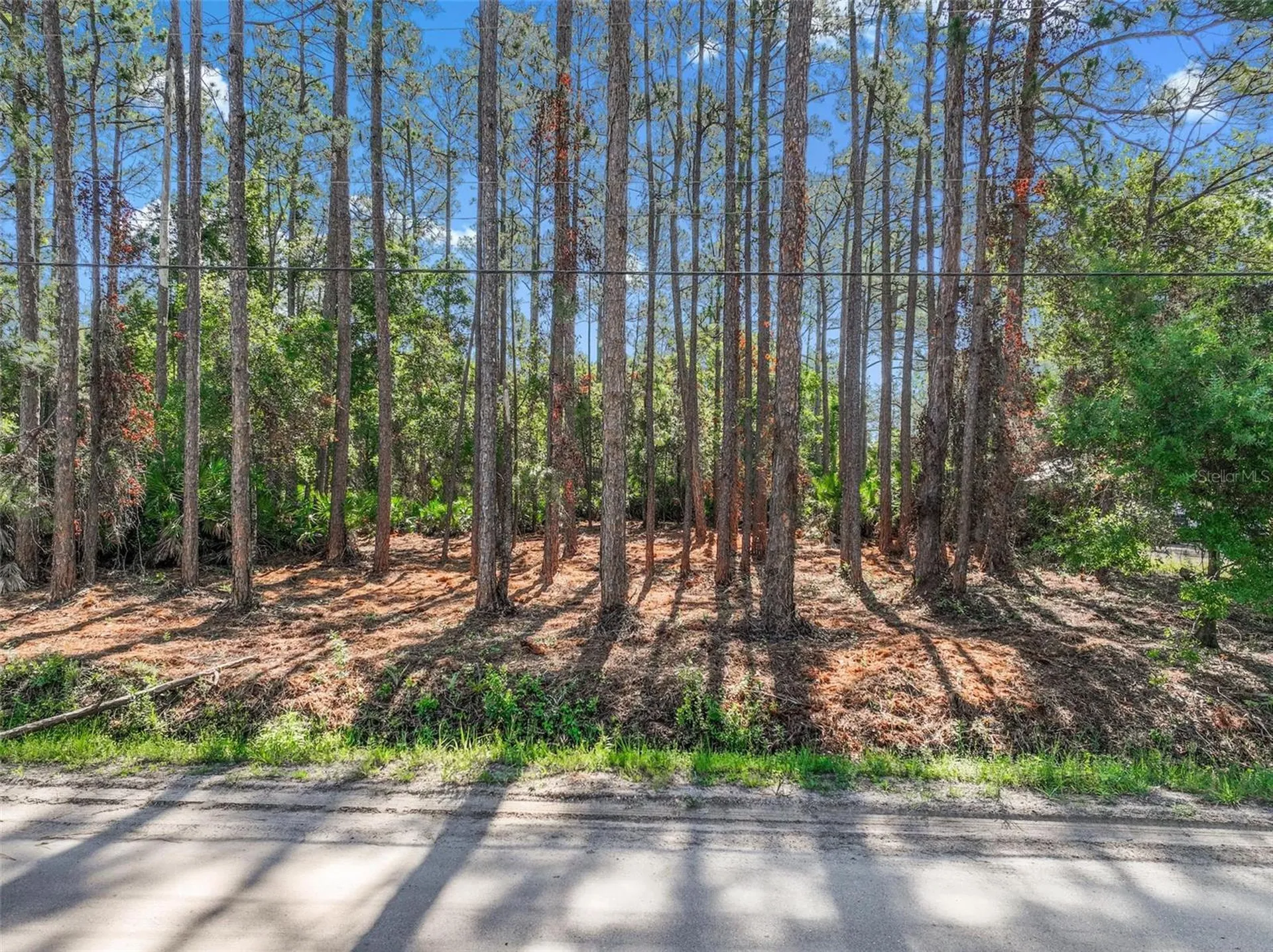 2679 Forest Park Street Bunnell FL 32110