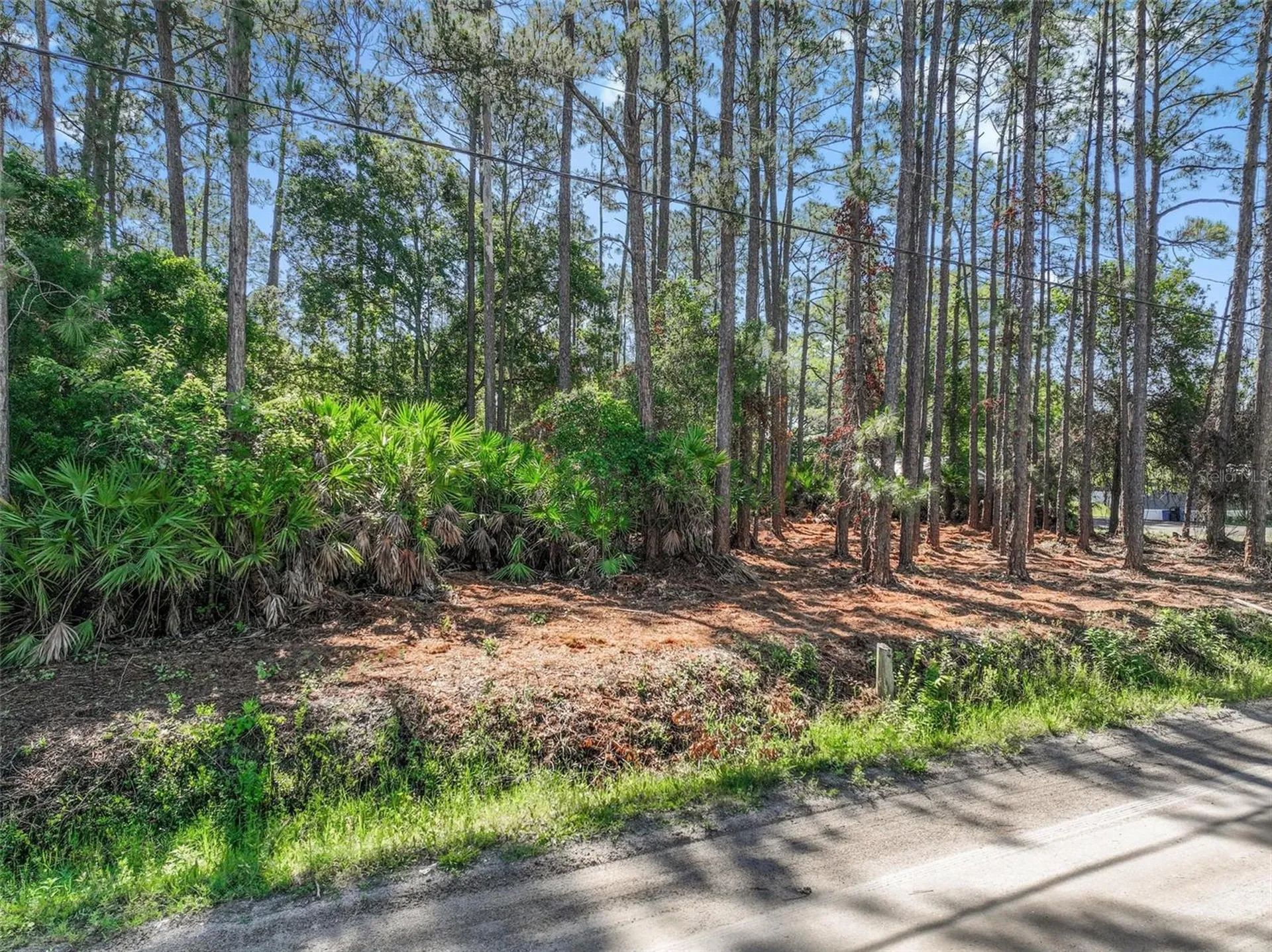 2679 Forest Park Street Bunnell FL 32110