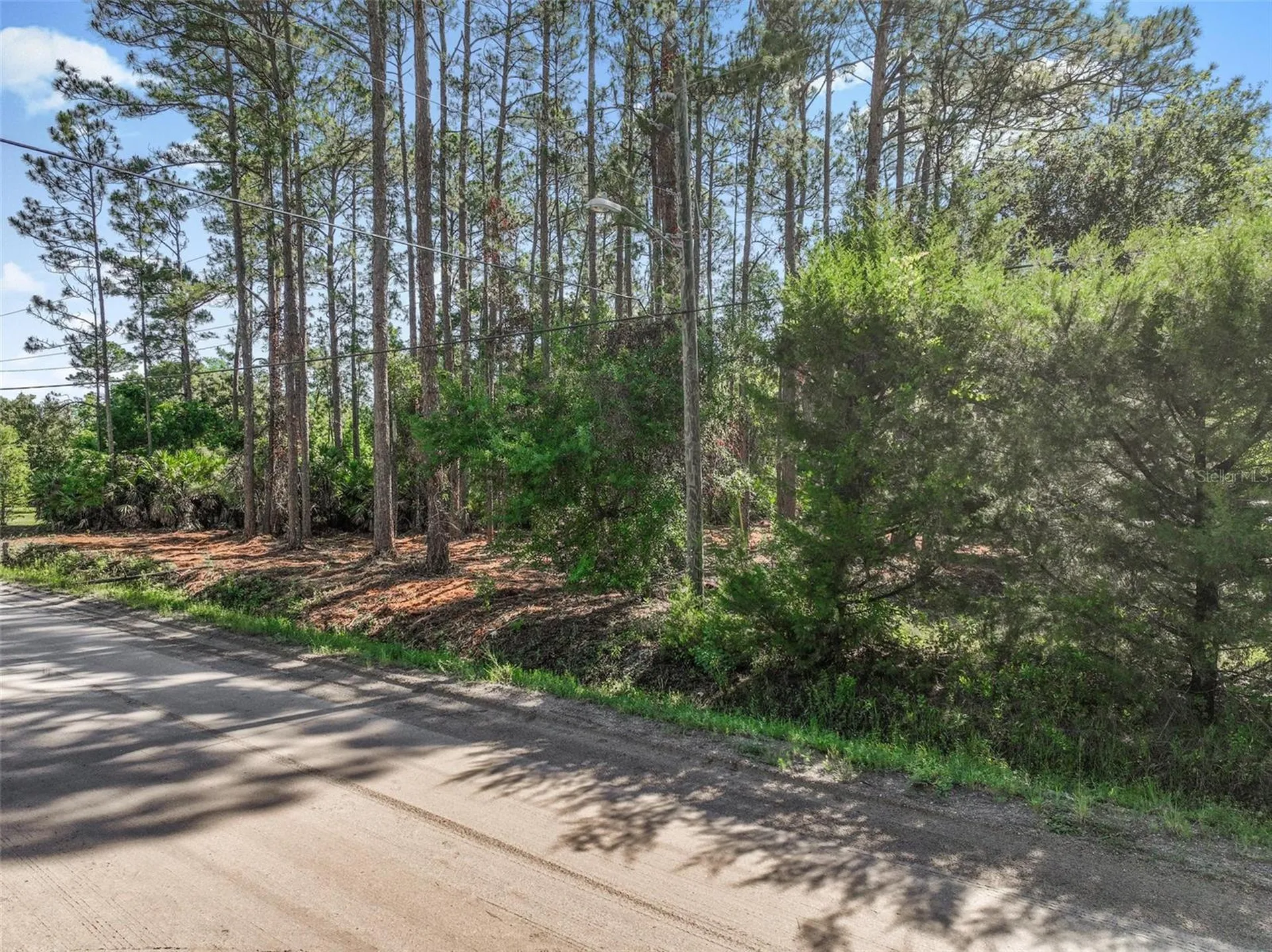 2679 Forest Park Street Bunnell FL 32110