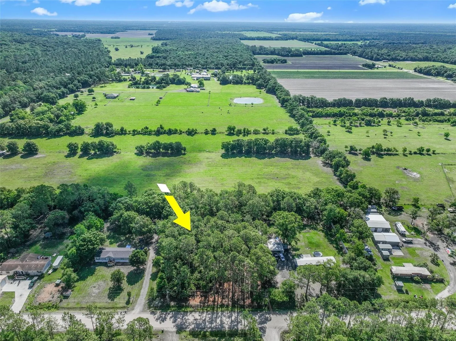 2679 Forest Park Street Bunnell FL 32110