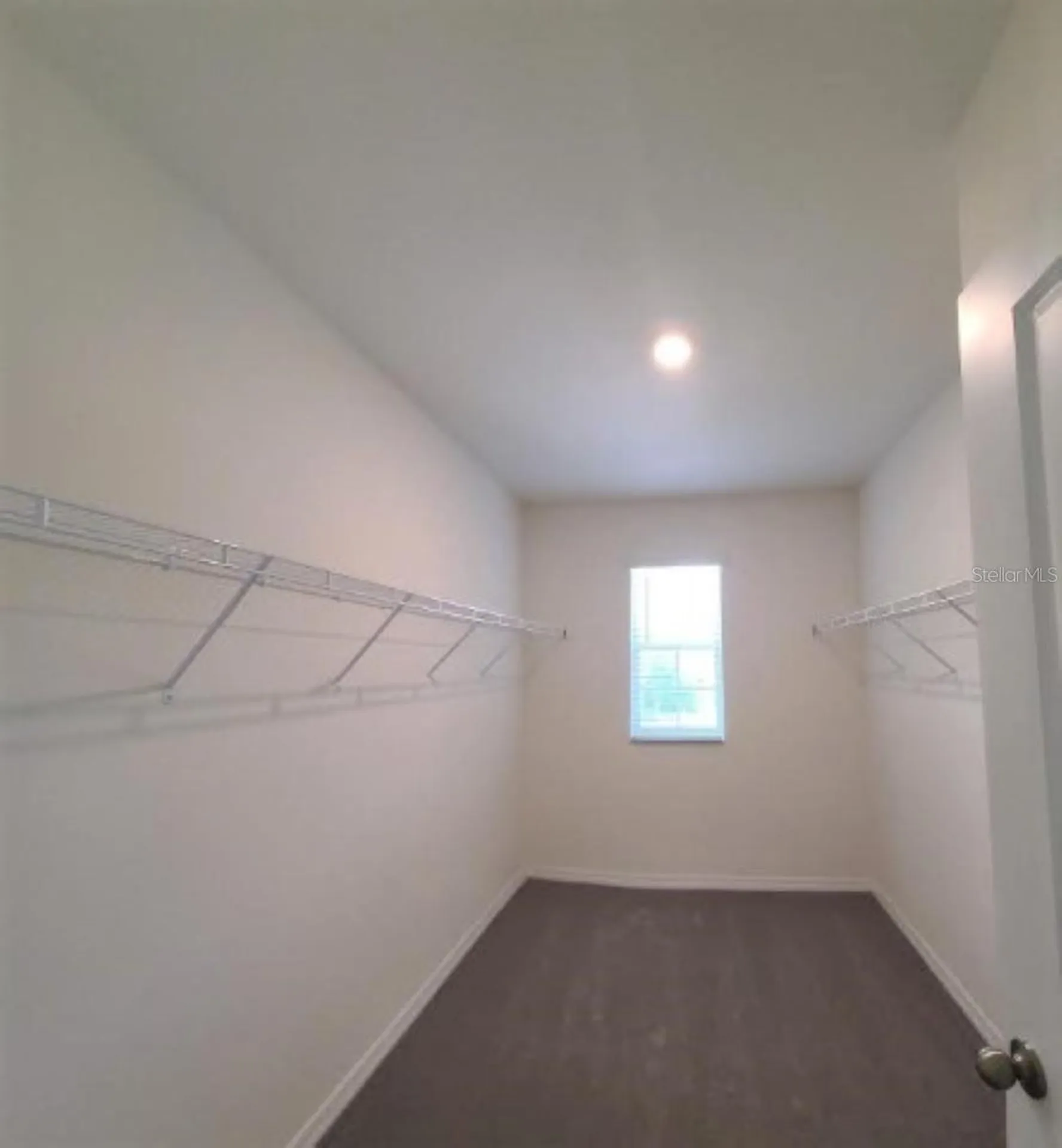 7768 Cypress Walk Drive New Port Richey FL 34655