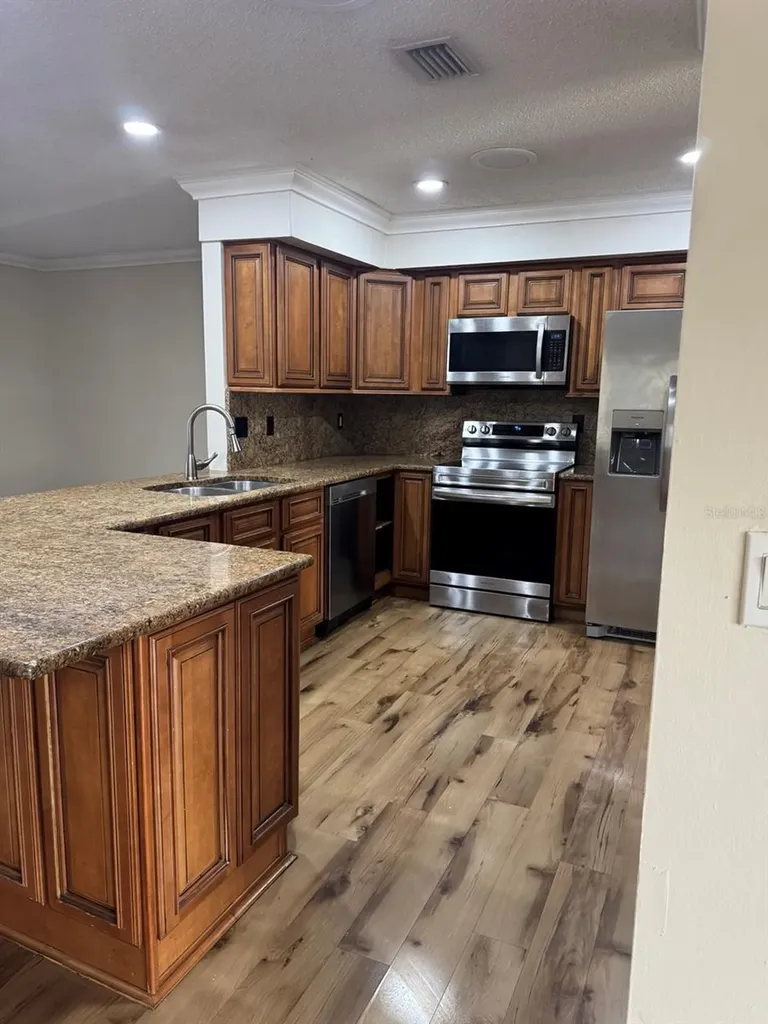 3306 Lake Saxon Drive Land O Lakes FL 34639