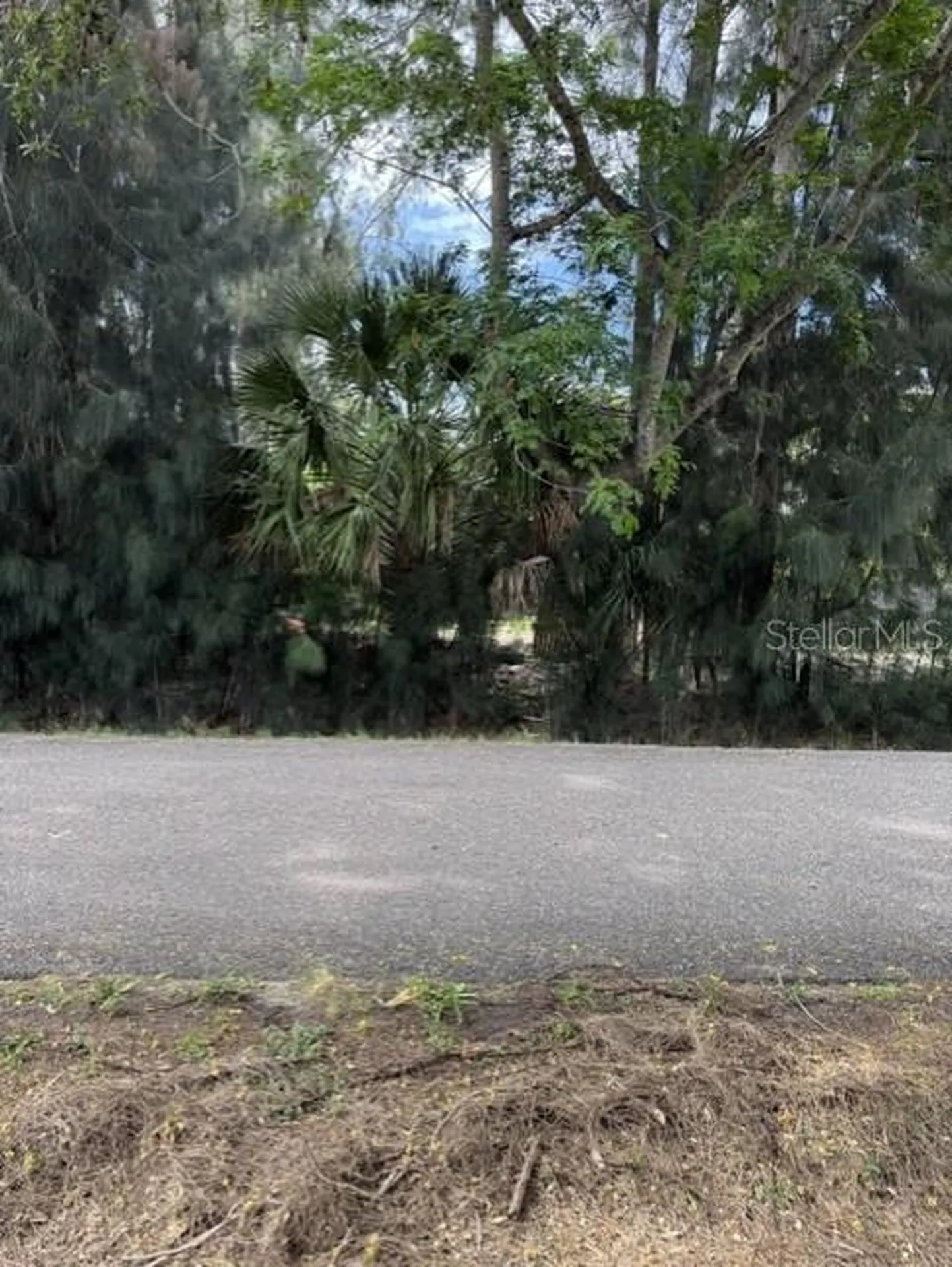 3275 Laurel Avenue Clearwater FL 33762