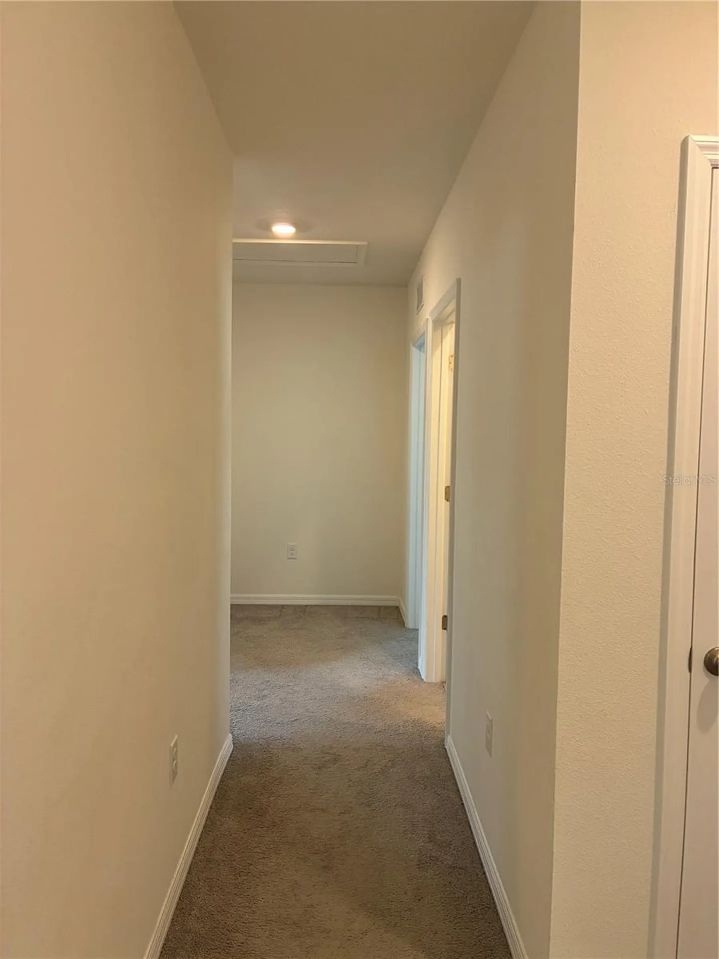 2755 Common Fig Run Wesley Chapel FL 33543