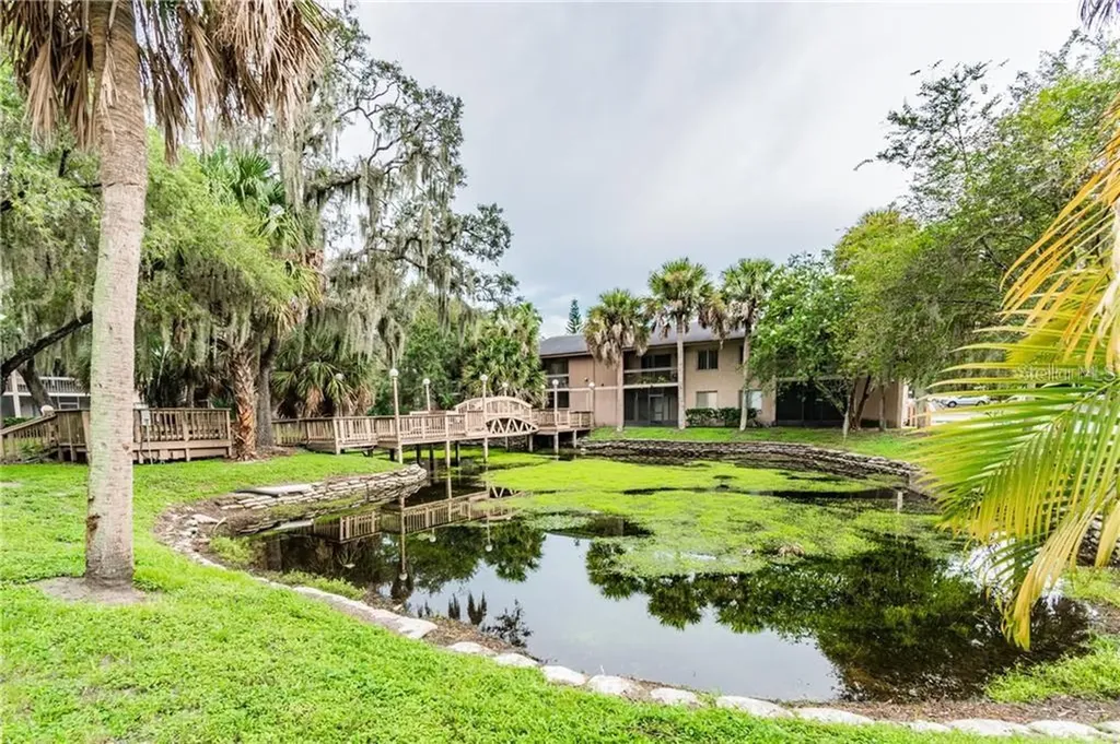 7502 Needle Leaf Place Tampa FL 33617