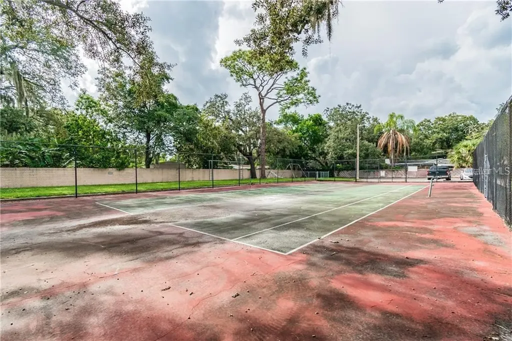 7502 Needle Leaf Place Tampa FL 33617