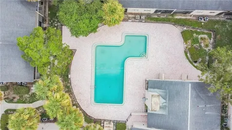 7502 Needle Leaf Place Tampa FL 33617
