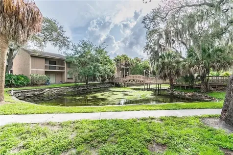 7502 Needle Leaf Place Tampa FL 33617