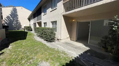 7502 Needle Leaf Place Tampa FL 33617