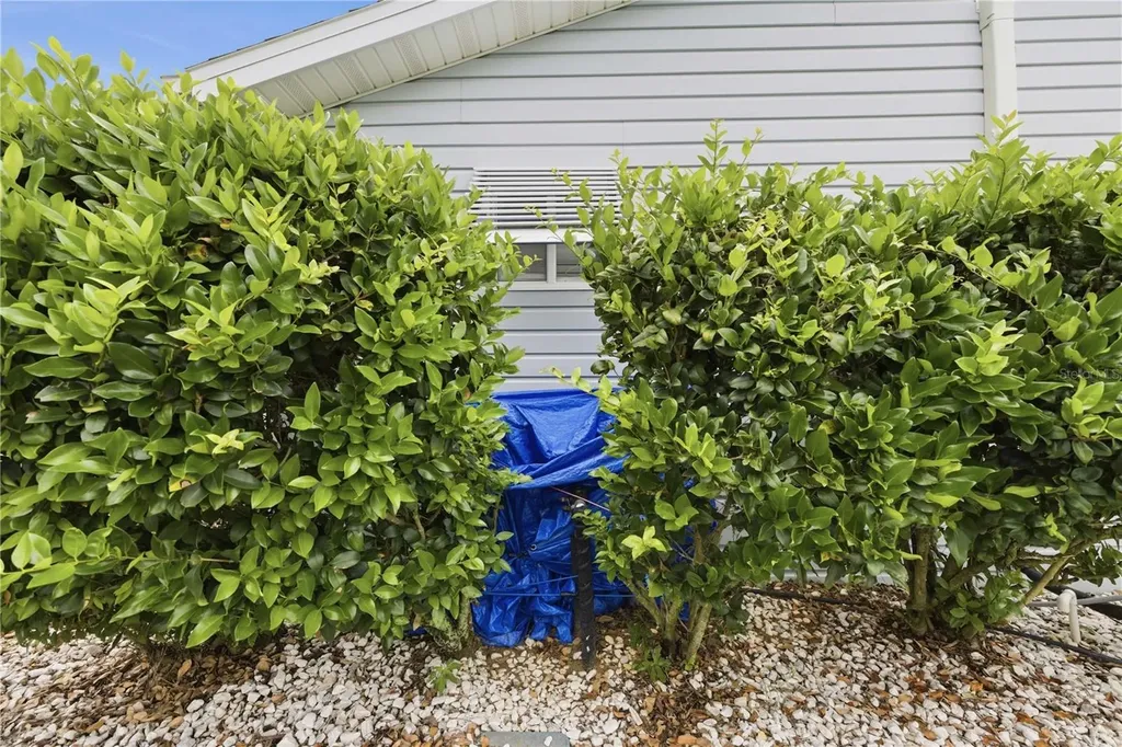 10696 SE 174th Place Summerfield FL 34491