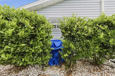 10696 SE 174th Place Summerfield FL 34491