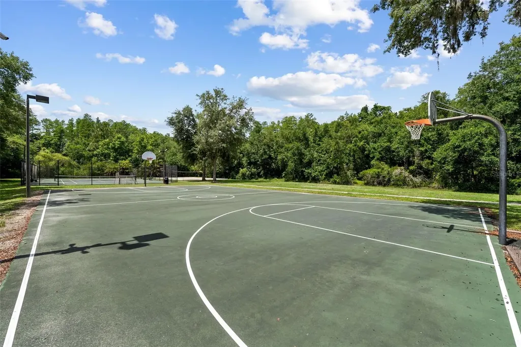 1536 Abyss Drive Odessa FL 33556