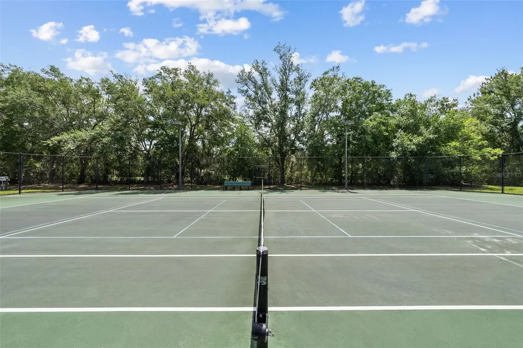 1536 Abyss Drive Odessa FL 33556