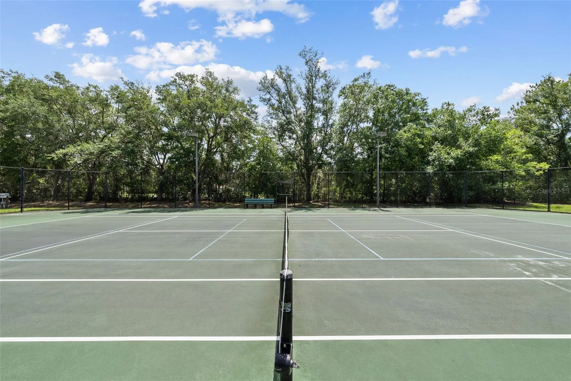 1536 Abyss Drive Odessa FL 33556