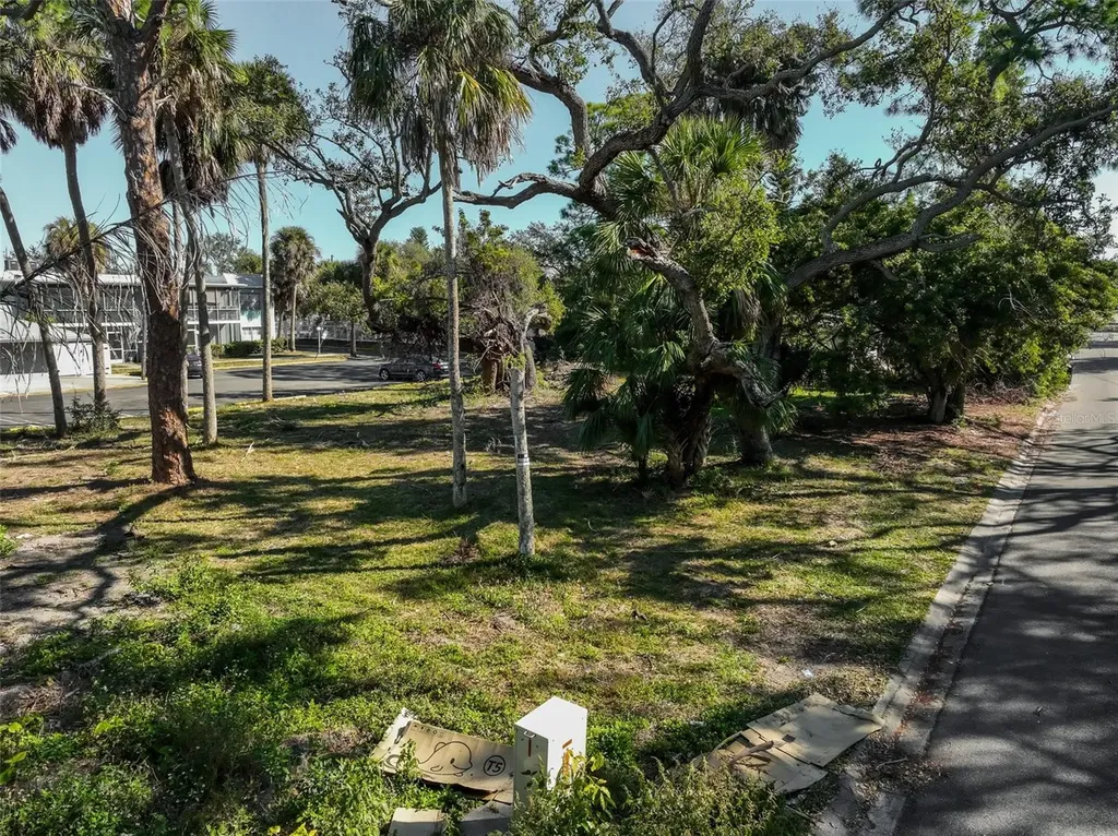 St Petersburg FL 33705