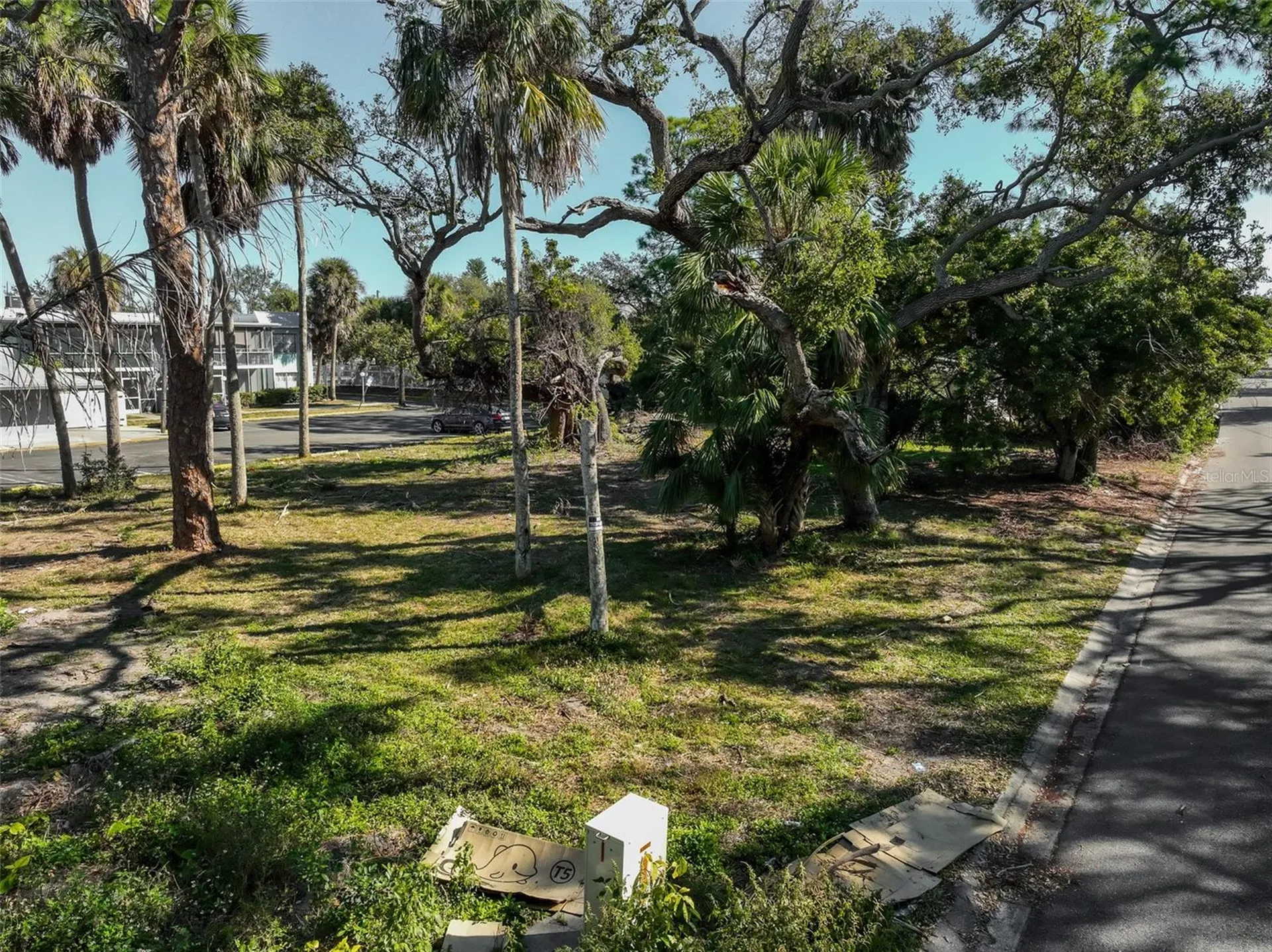 St Petersburg FL 33705