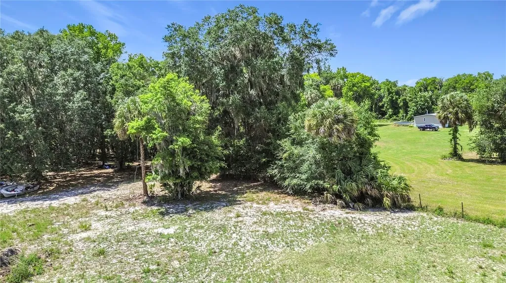 1689 NE 189th Lane Citra FL 32113