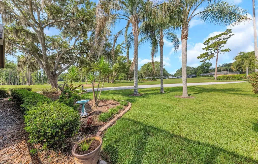 5331 Sand Crane Court Wesley Chapel FL 33543
