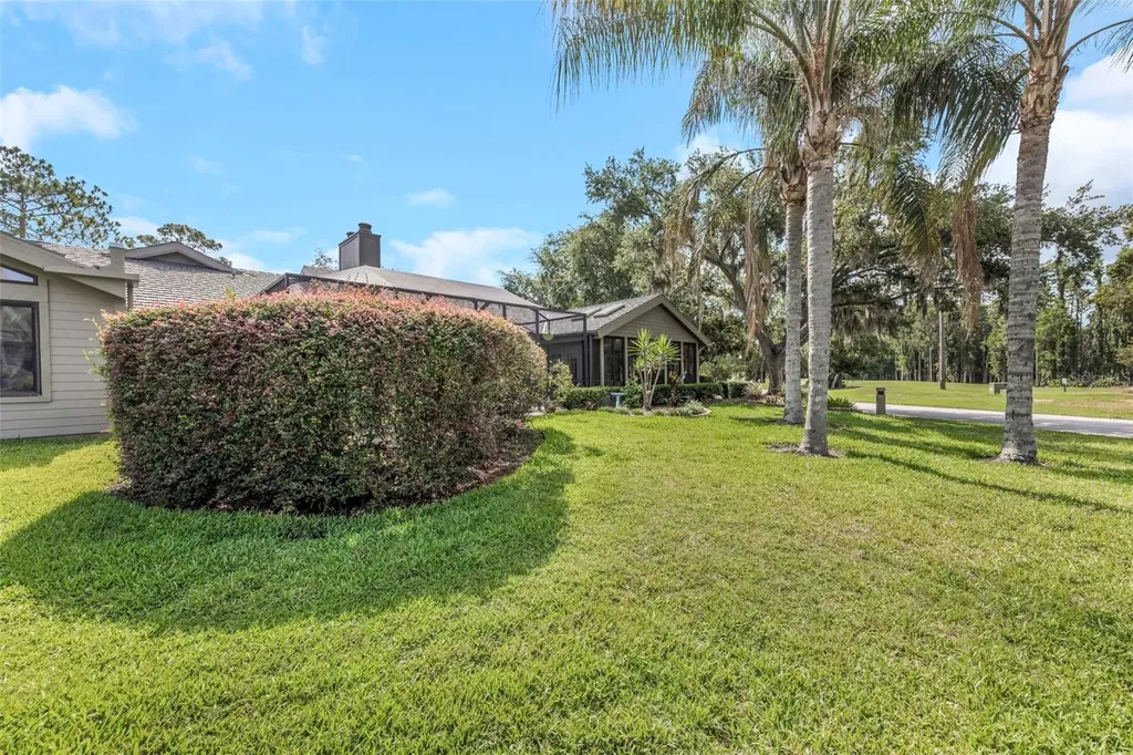 5331 Sand Crane Court Wesley Chapel FL 33543