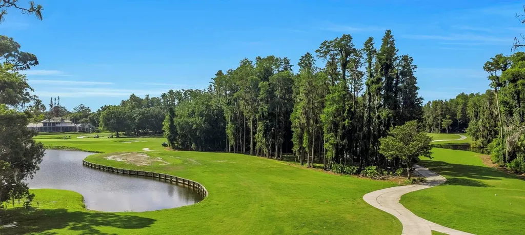 5331 Sand Crane Court Wesley Chapel FL 33543