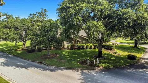 5331 Sand Crane Court Wesley Chapel FL 33543