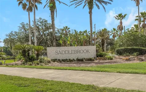 5331 Sand Crane Court Wesley Chapel FL 33543