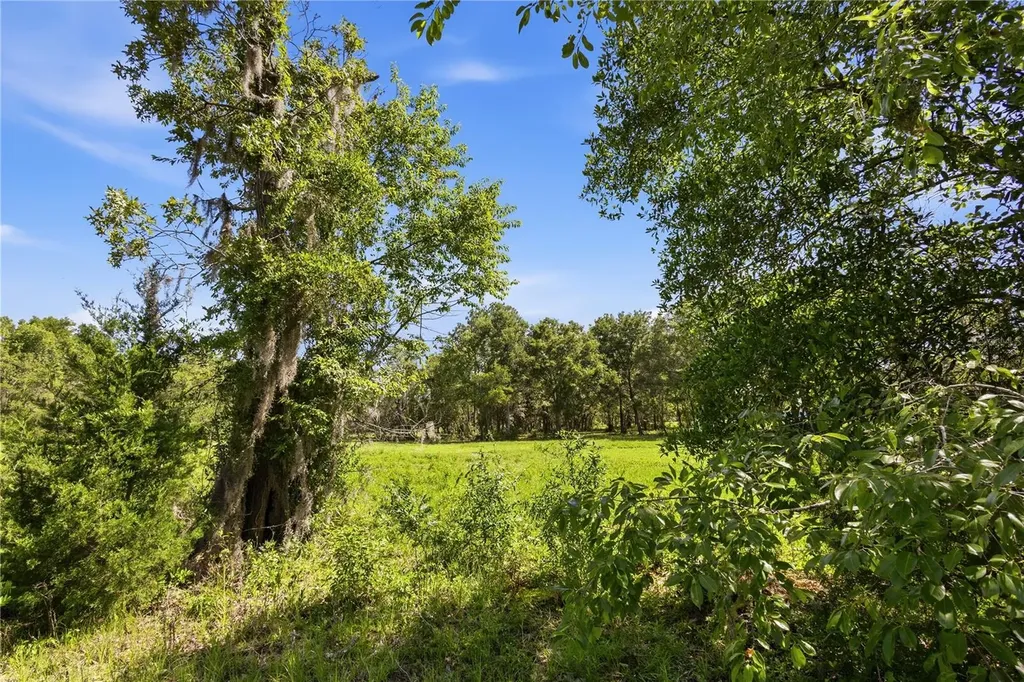 15191 NE 9th Street Williston FL 32696