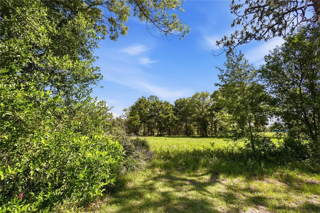 15191 NE 9th Street Williston FL 32696