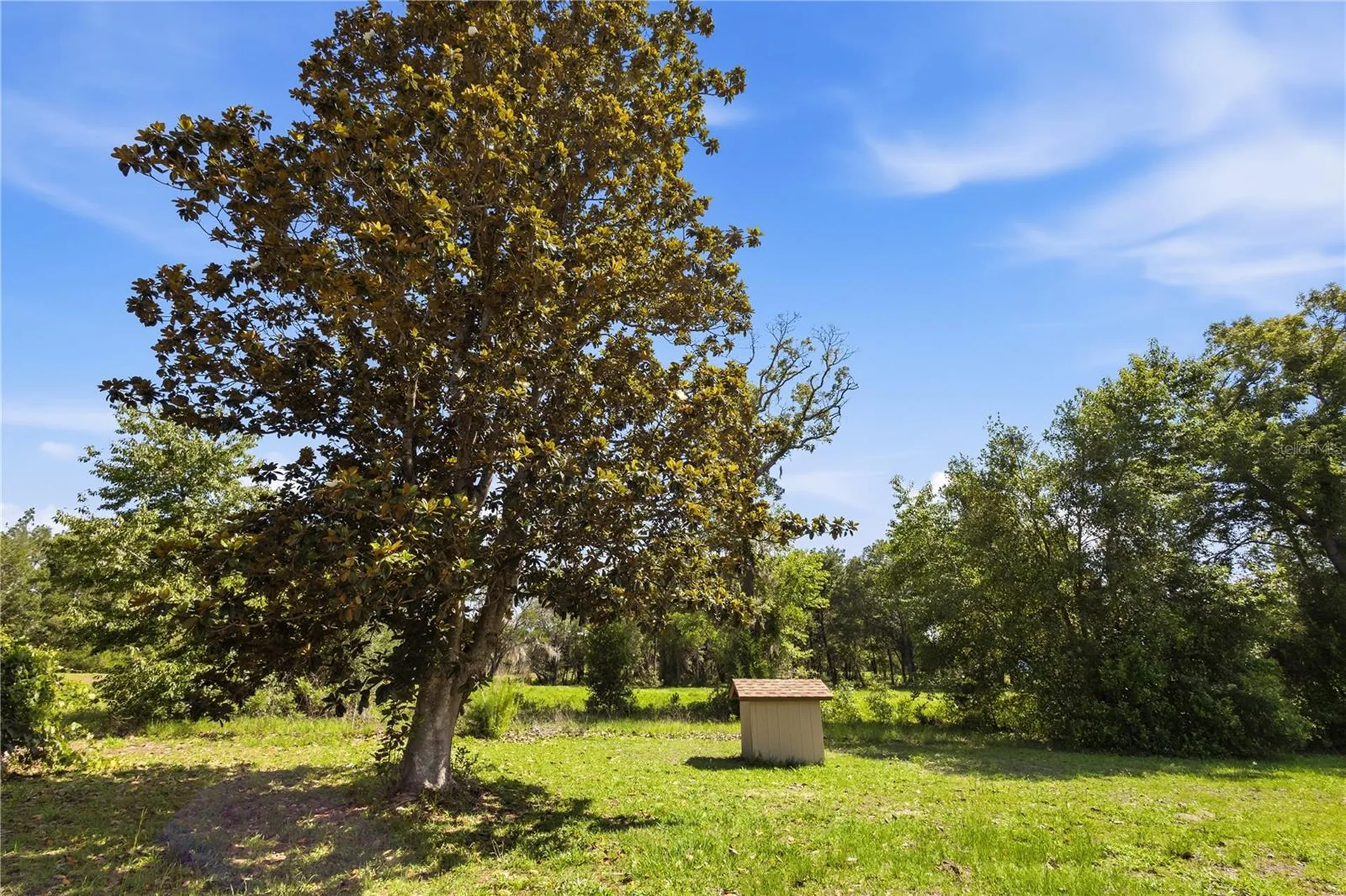 15191 NE 9th Street Williston FL 32696